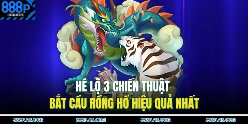 Hé lộ 3 chiến thuật bắt cầu Rồng Hổ hiệu quả nhất