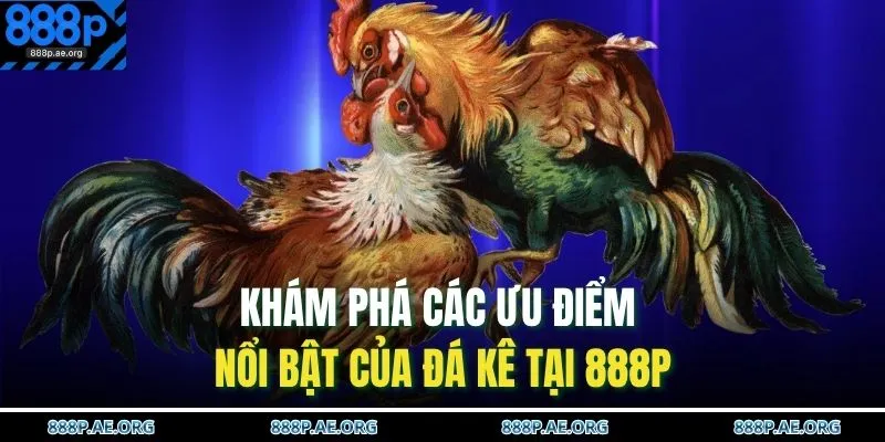 Khám phá các ưu điểm nổi bật của đá kê tại 888P